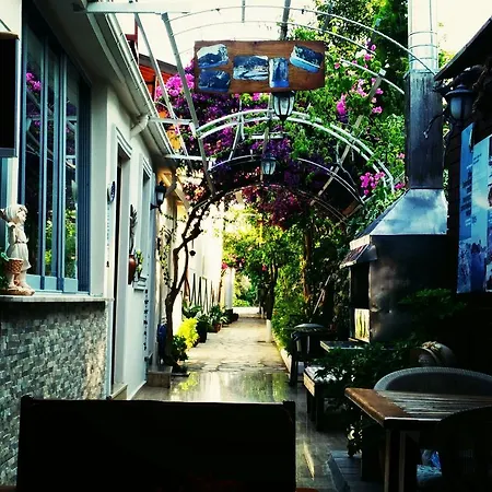 Engur 홈스테이 *